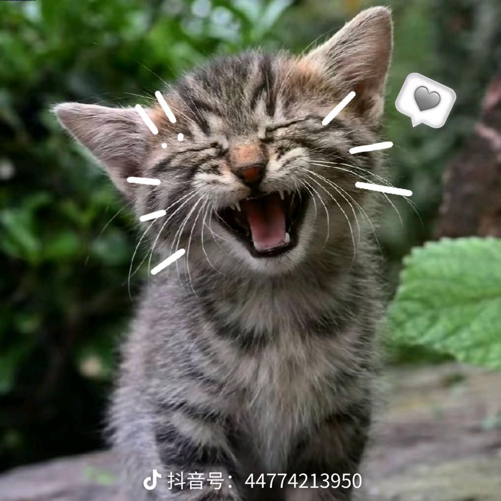 下次看海约在哪