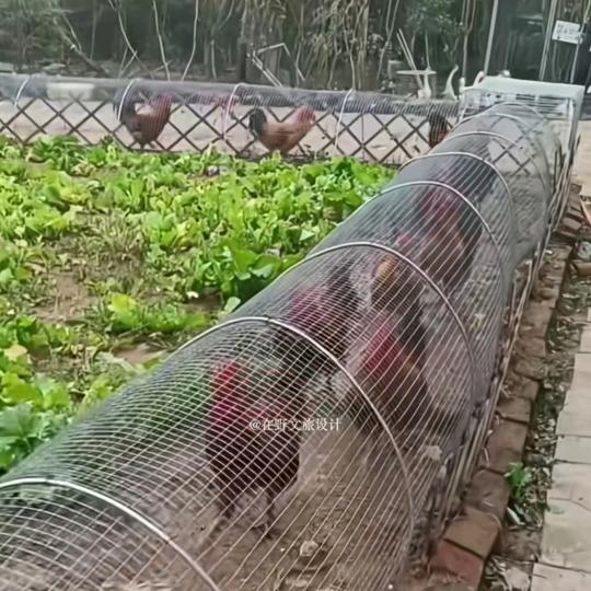 静   心