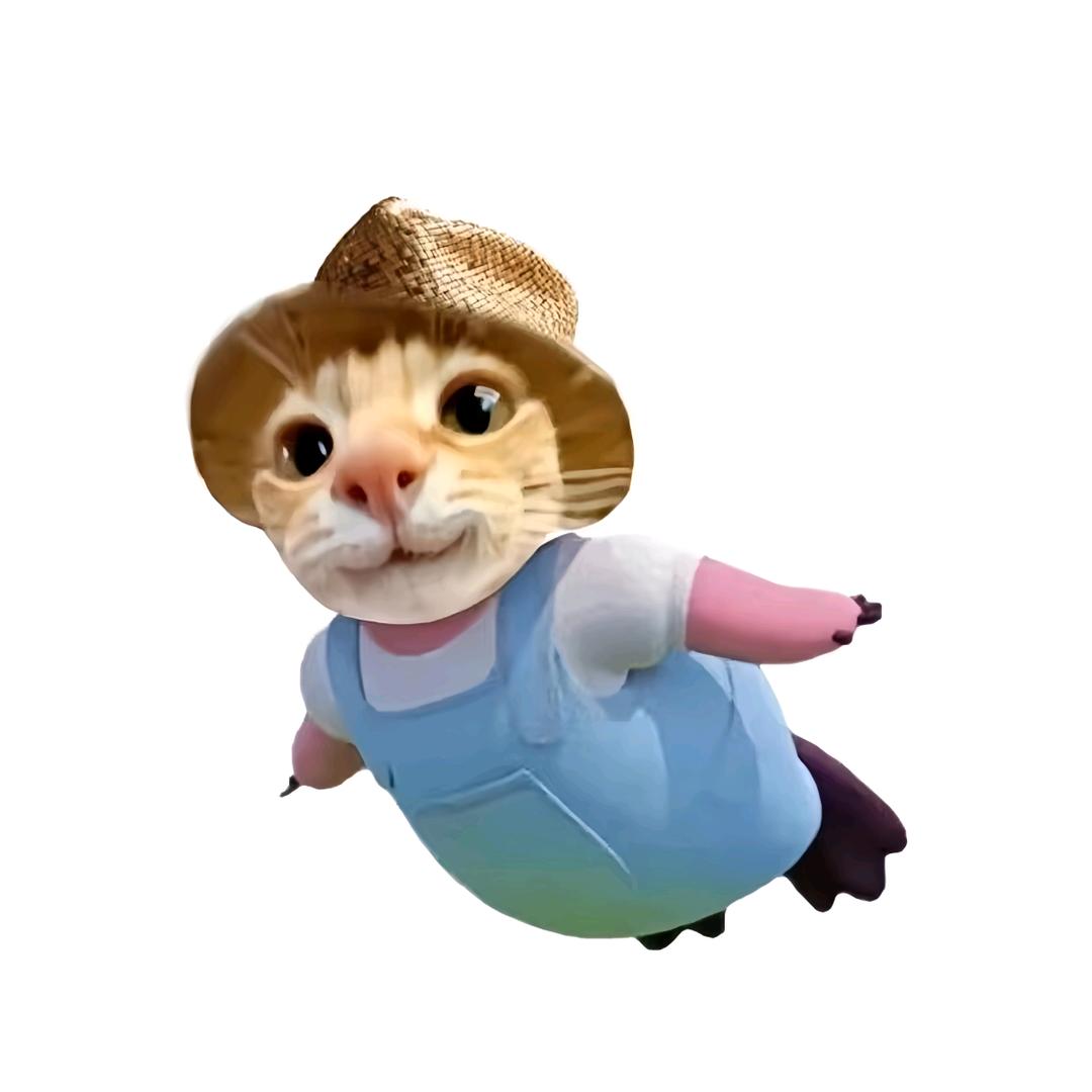 什么时候天晴☀️