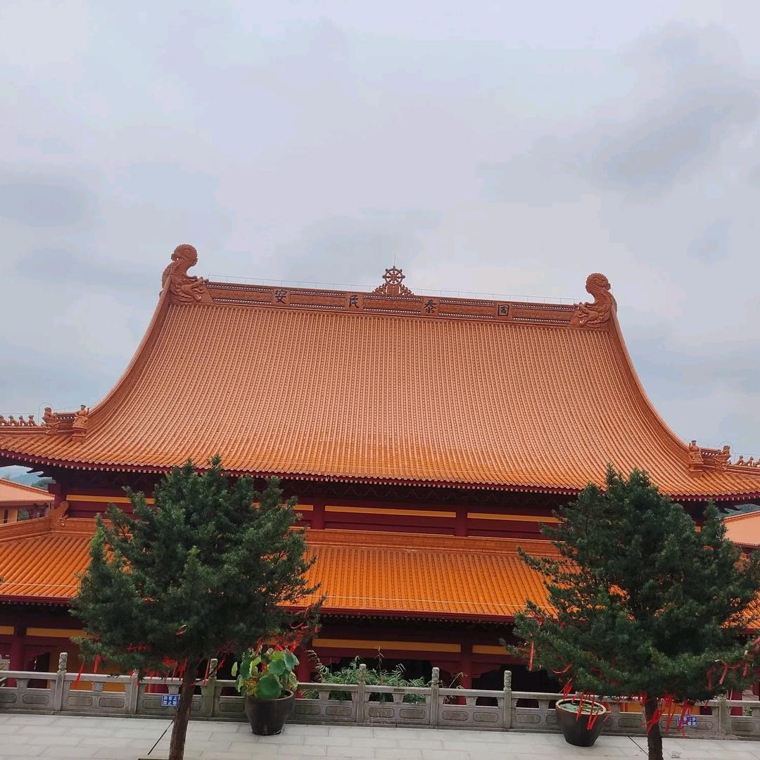 无悔