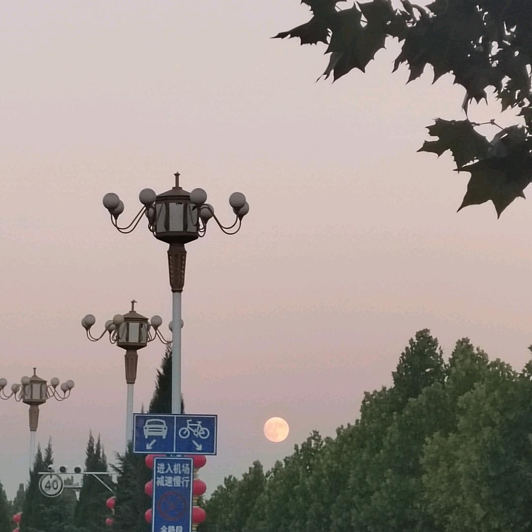沿途的风景