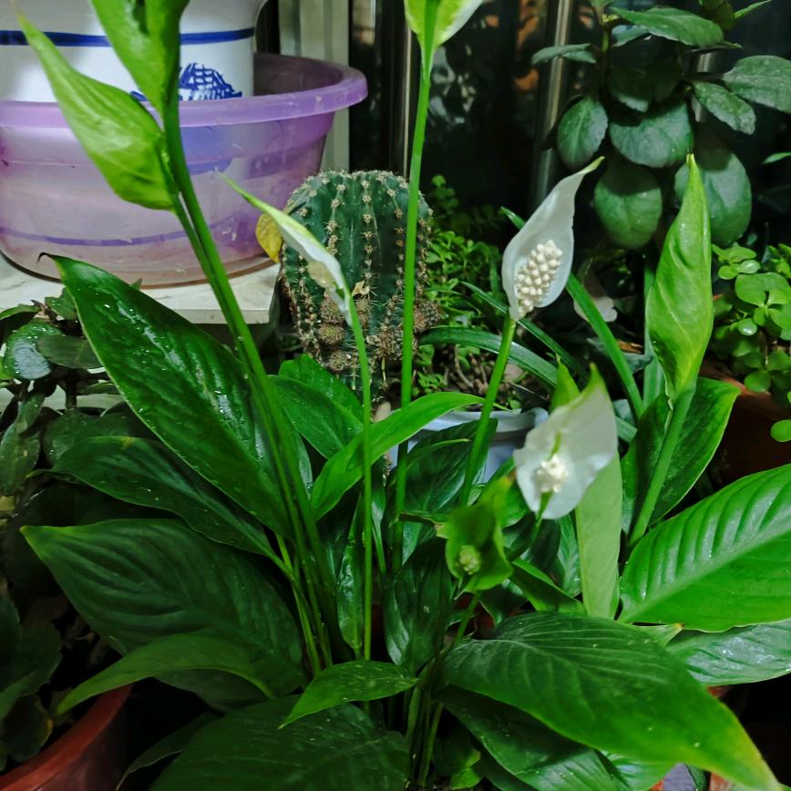 用户9528143241250心境