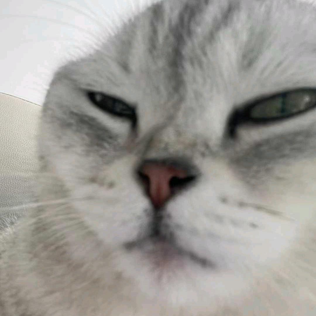 出个国哈