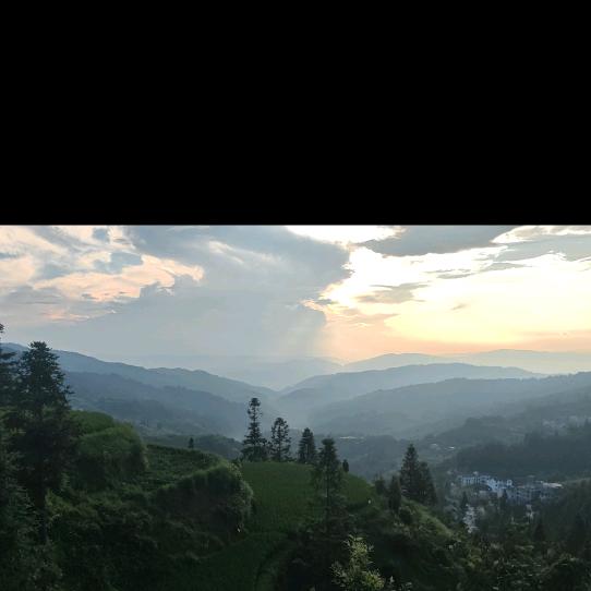 闲的美式