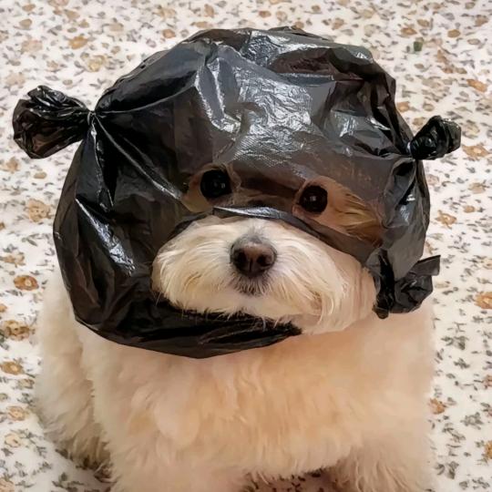 我咋了