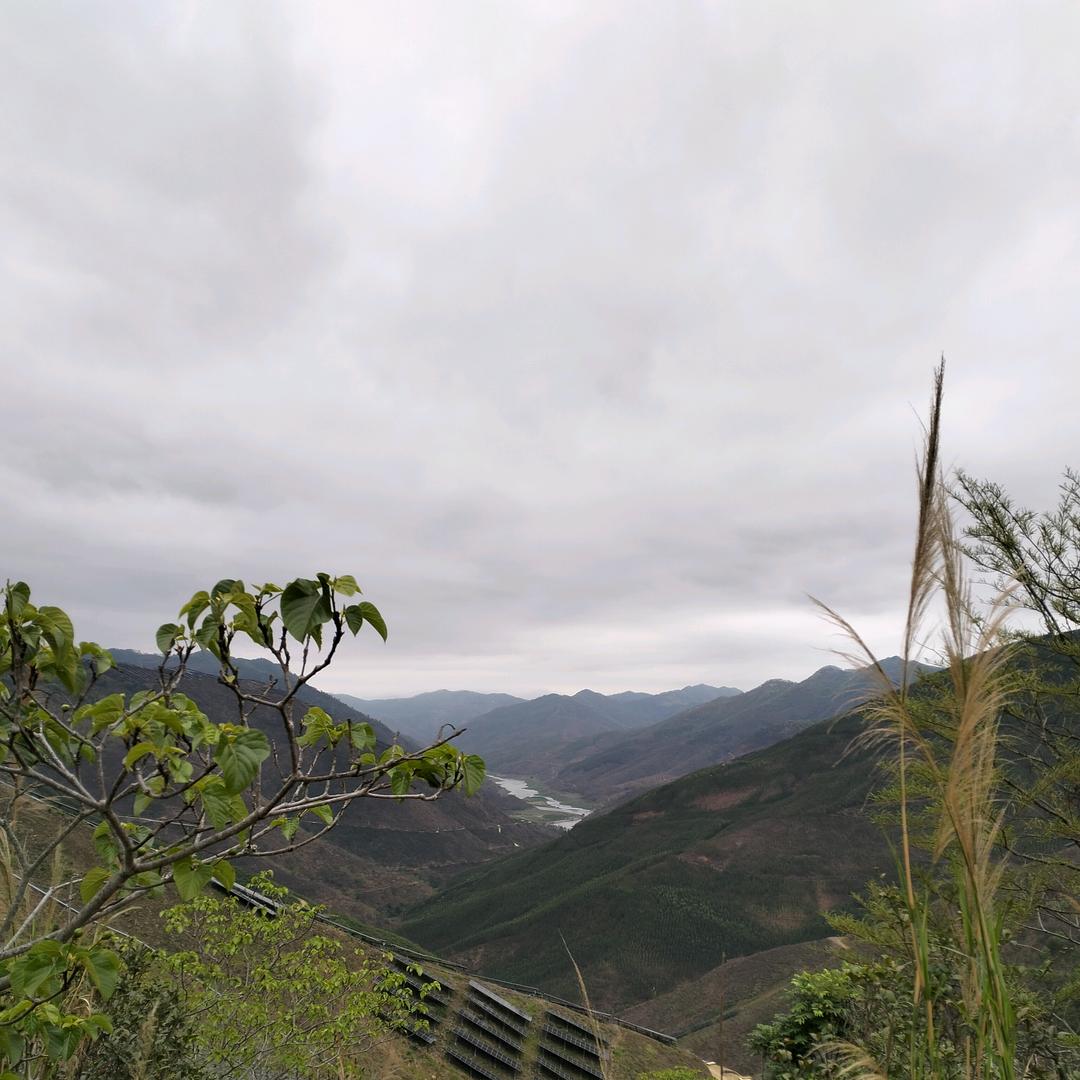 用户5490373428197