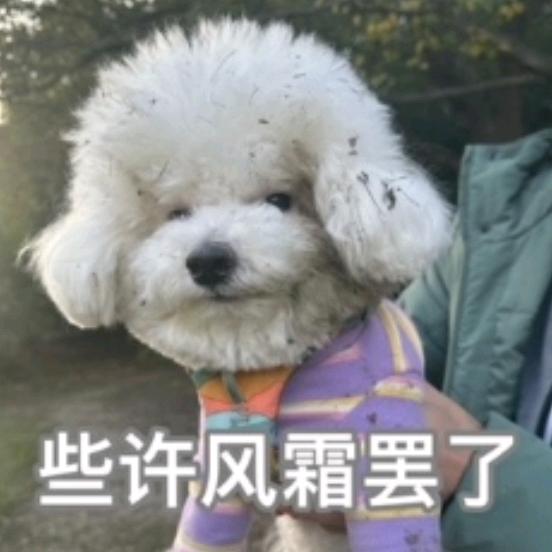 不瘦十斤不改网名