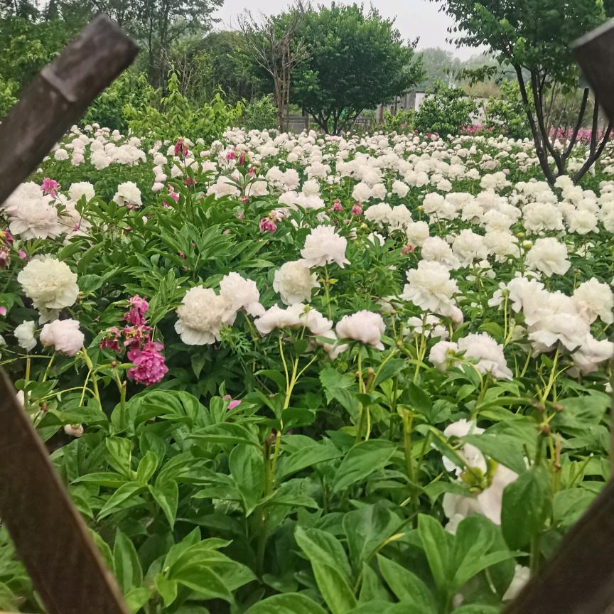 拥抱快乐的自己