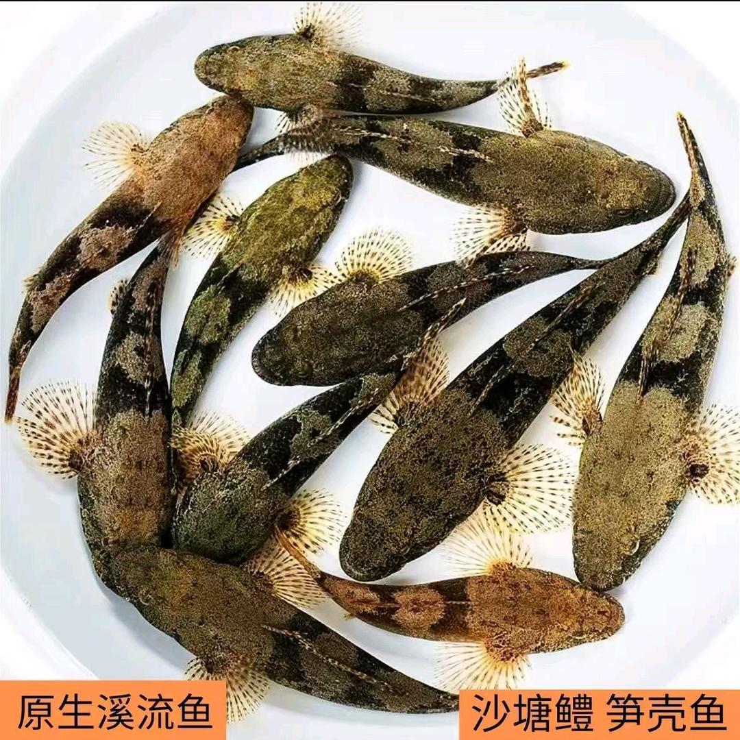 九万里
