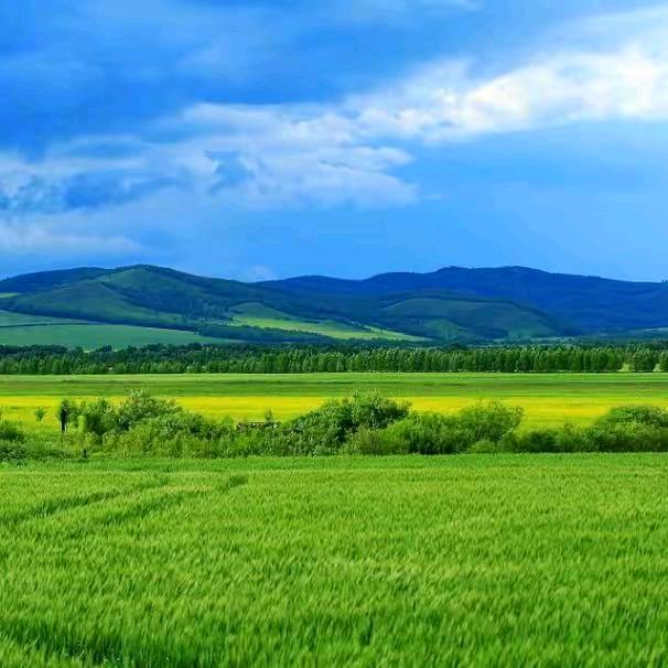 夜雨梧桐（钟）