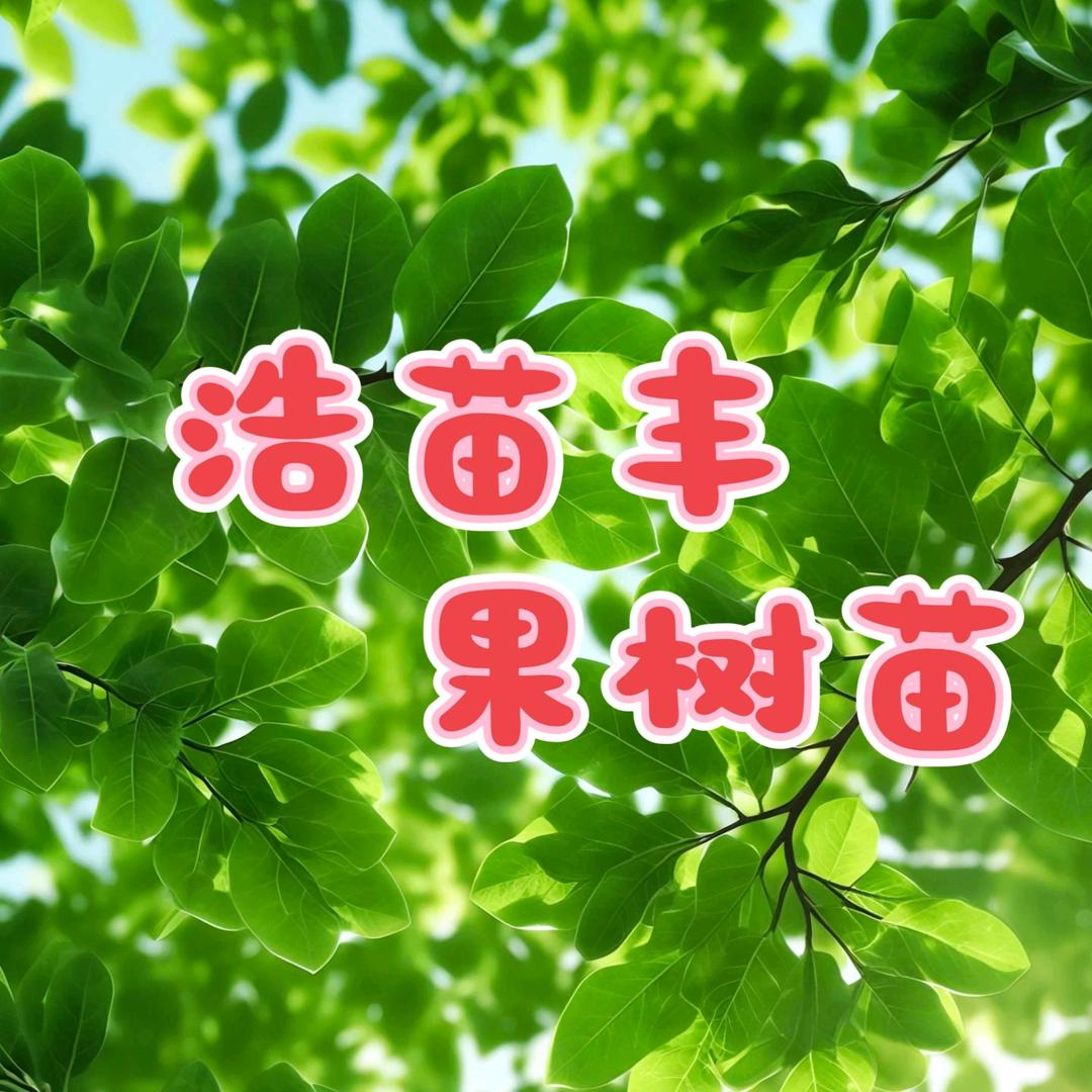 浩苗丰果树苗木专营店