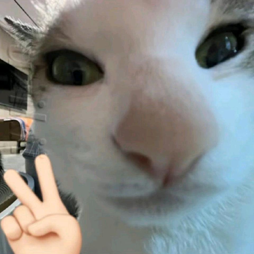 铁柱