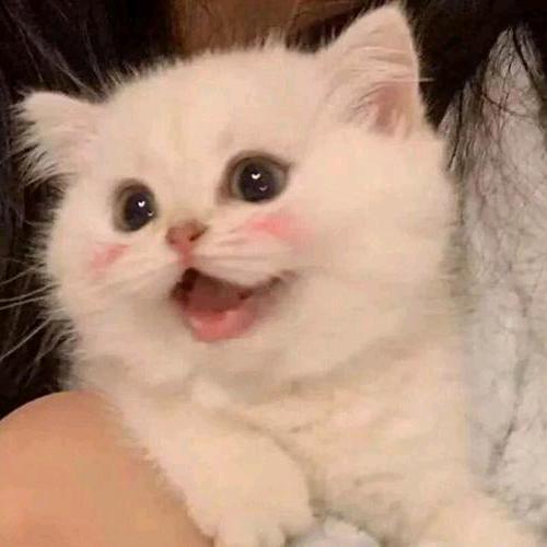边走边听