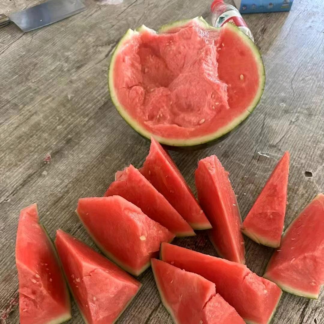 小张果蔬团队