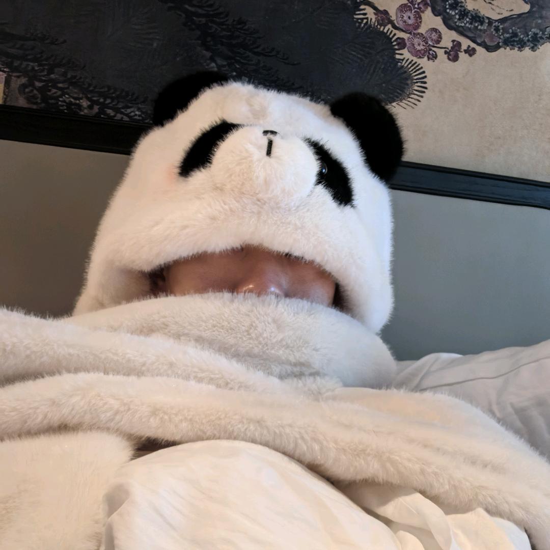 无枝可依