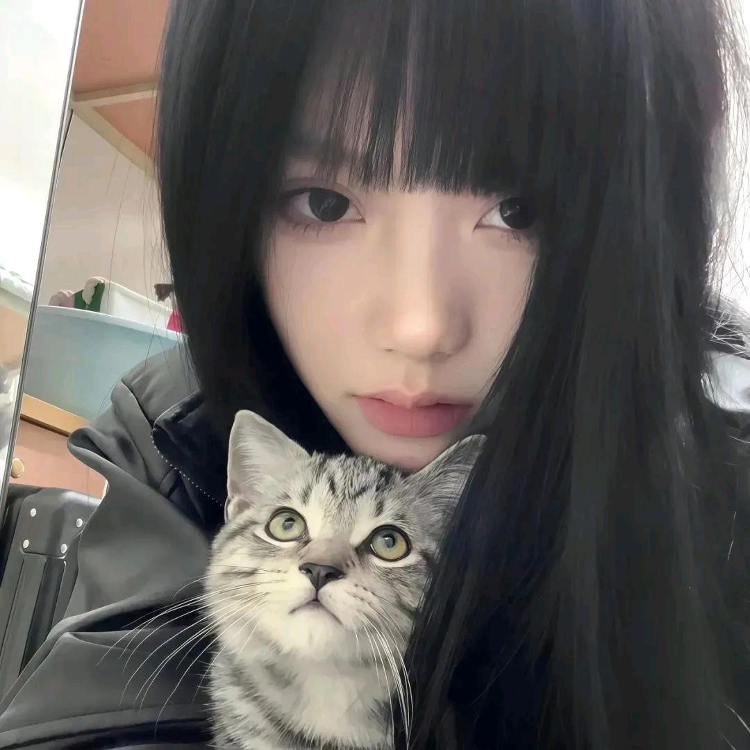 梧叶悲.