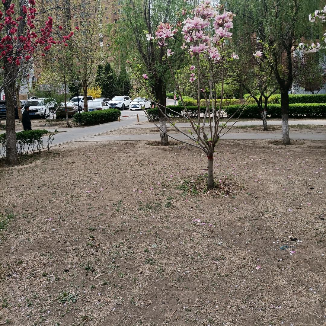 明天会更好