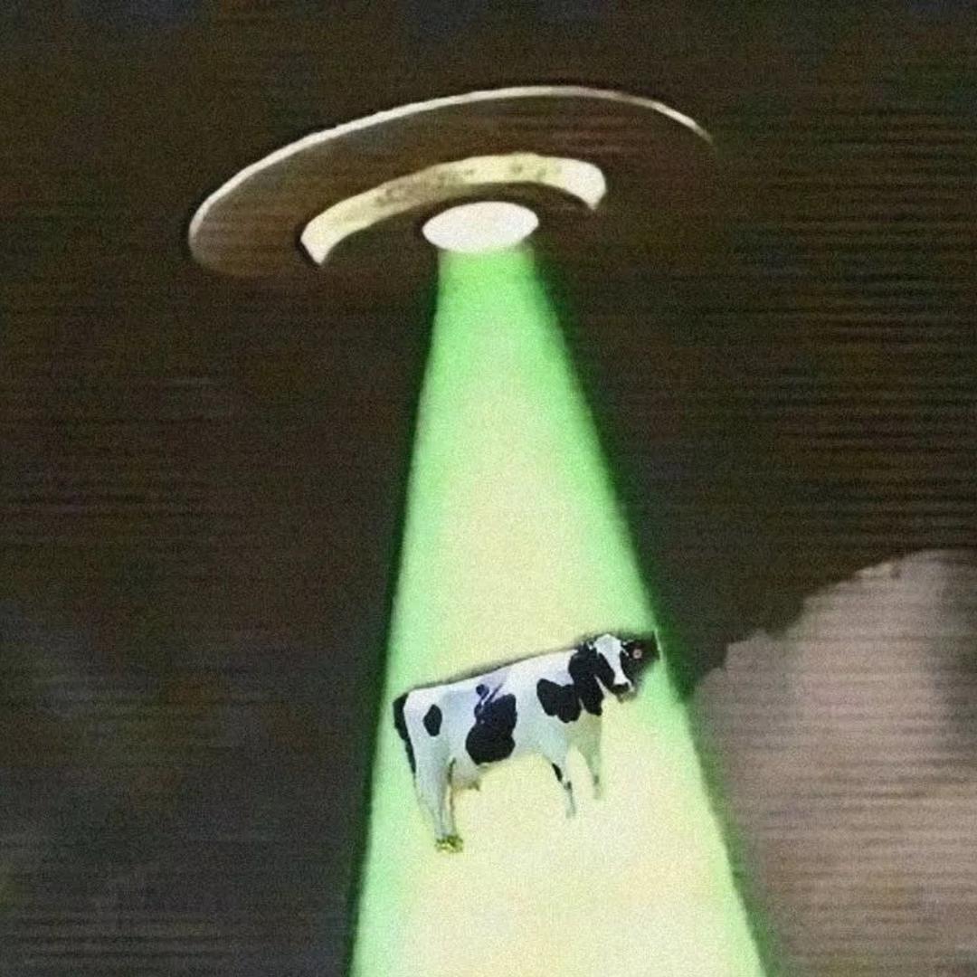 喵酱发财🤑日记