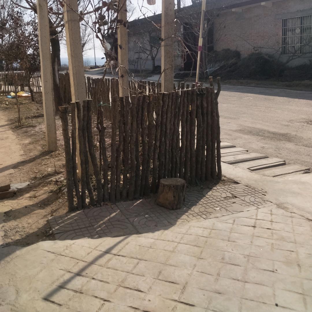 💓一生🎄平安🌷