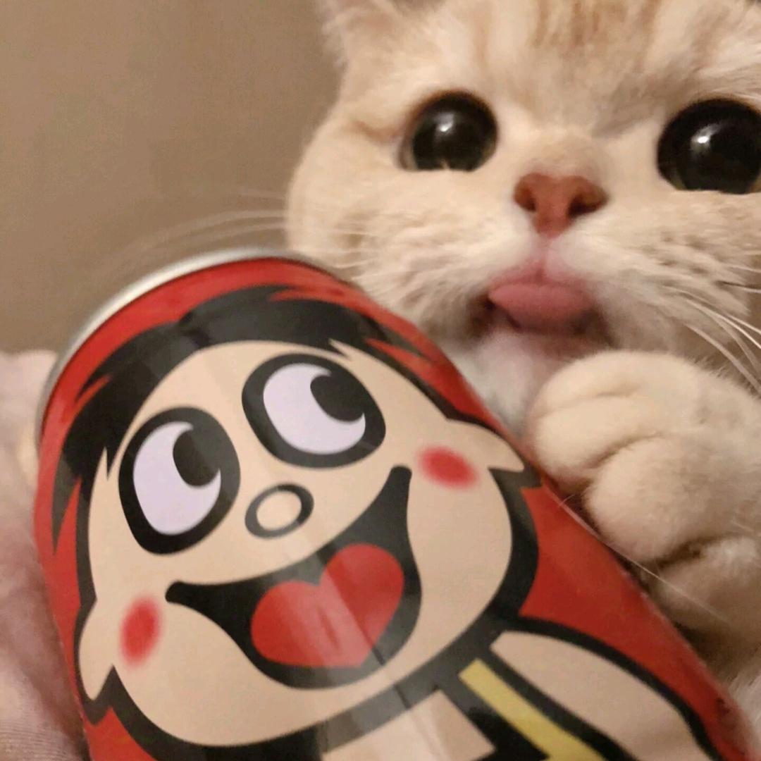罐装.