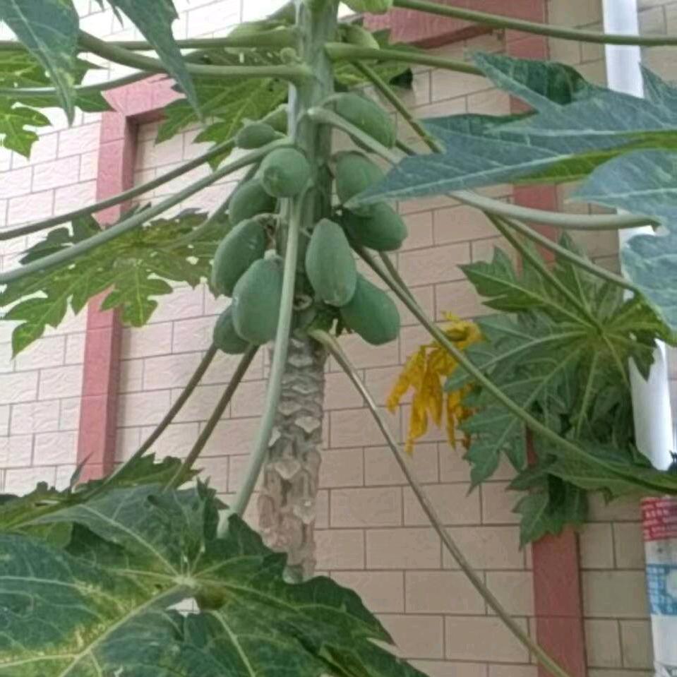 低调做人，高调做事