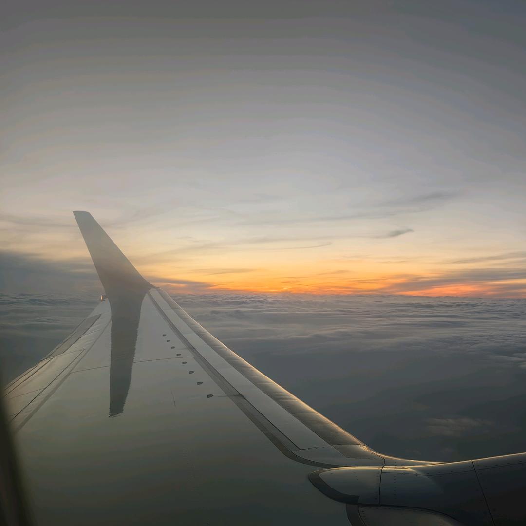 有钱有闲还帅🙈