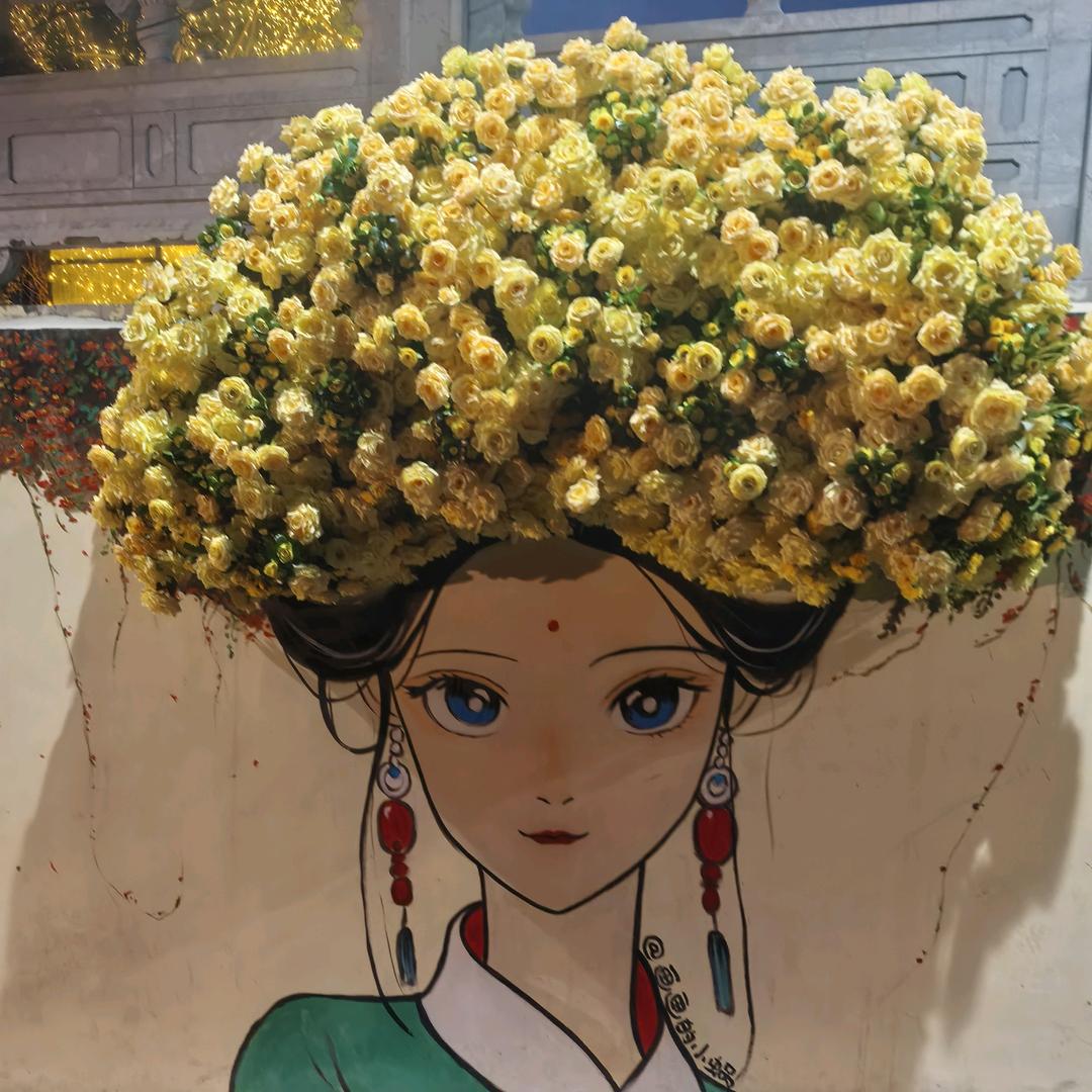 ❤心之所向