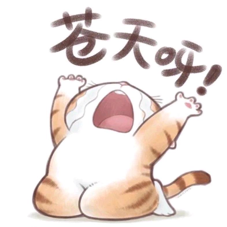 沐汐