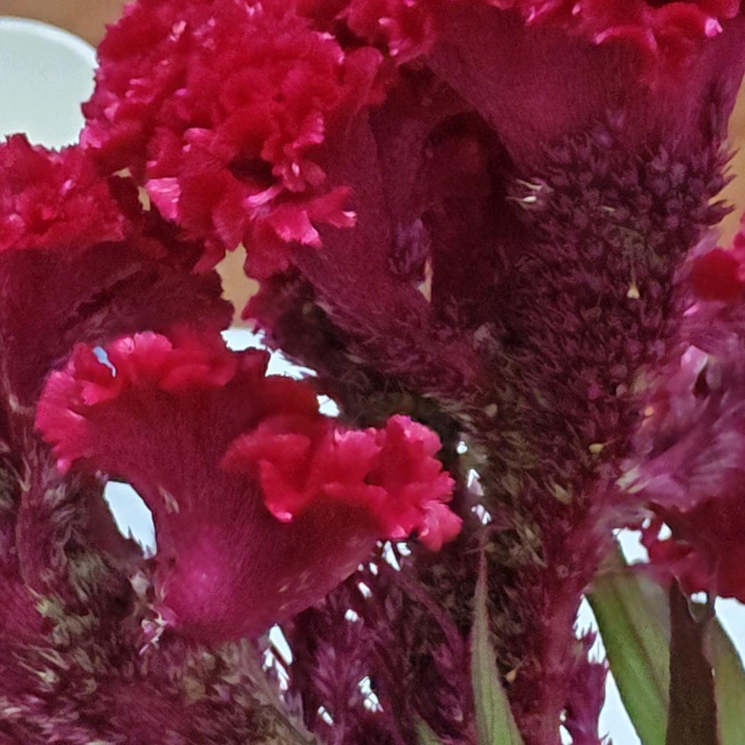 是你曾对我说过牵我的手