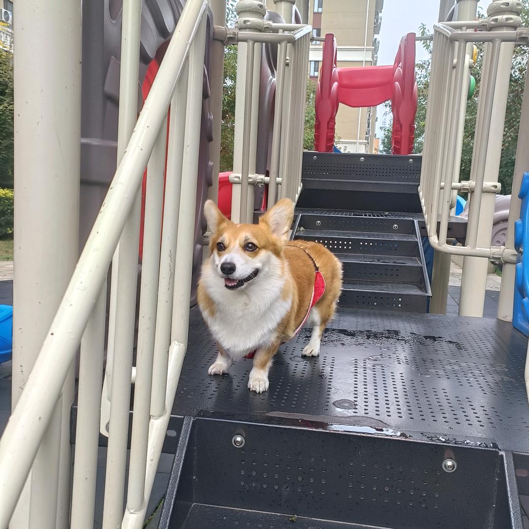 澜澜✍🧚‍♀️