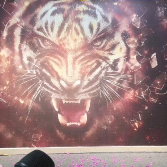 📈📈📈🐟🐟🐟