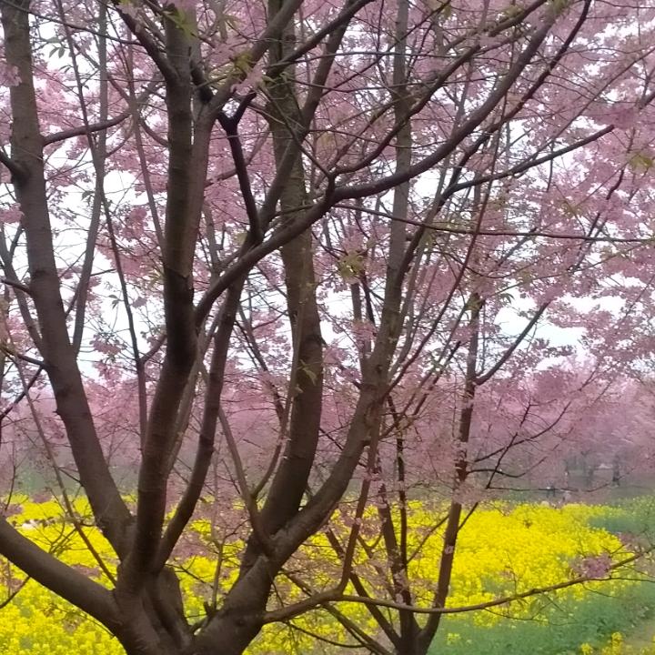 手机用户72cx3p