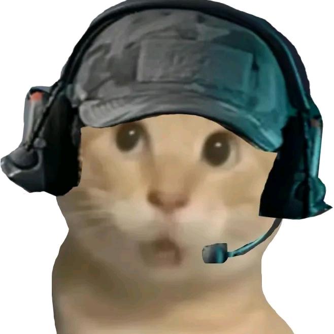 苦苦耄耋（三角洲行动）