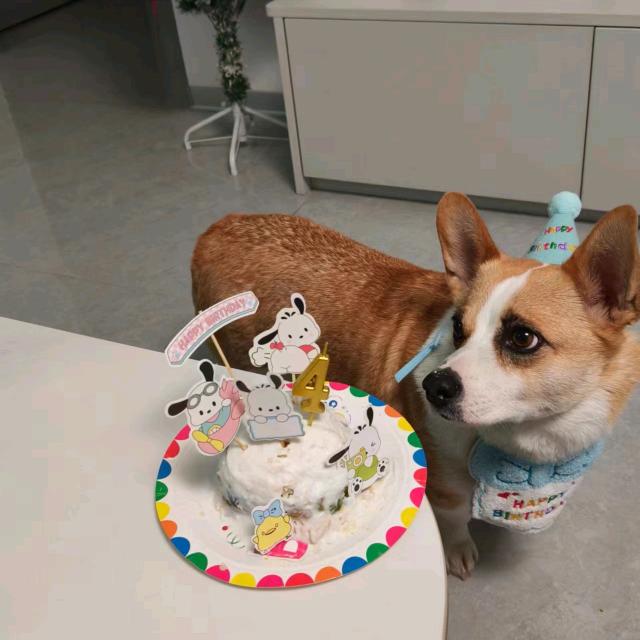 团子的emo房间
