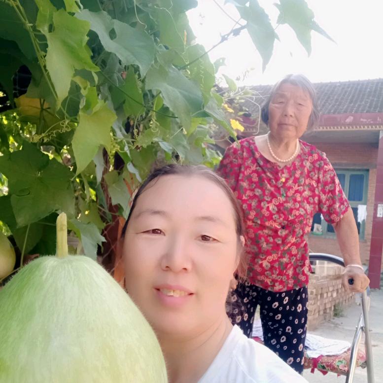 659为你守候
