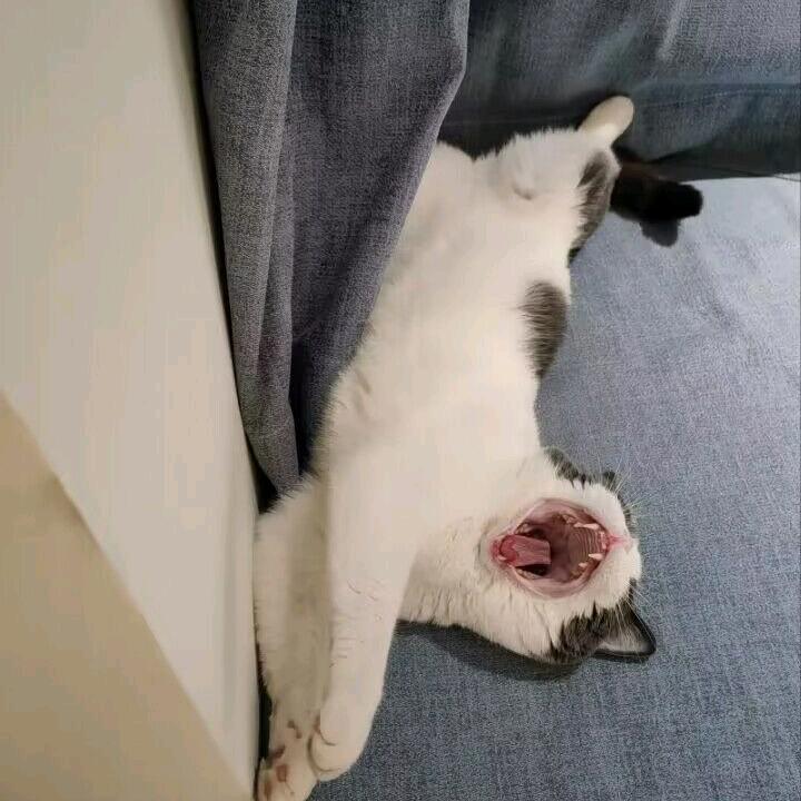 凭栏客