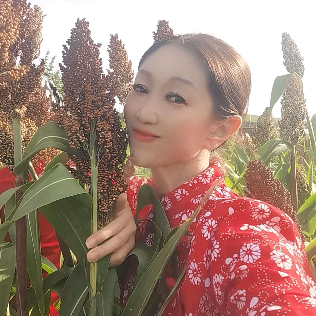 延吉金达物流