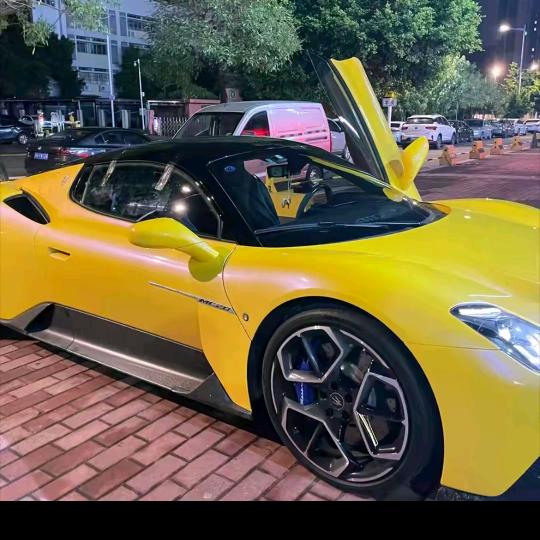 CS鱼总