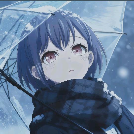 紫菜菜