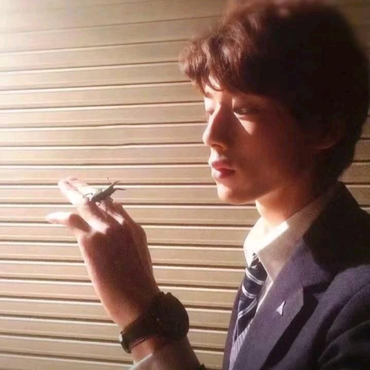 悲观烂尾剧