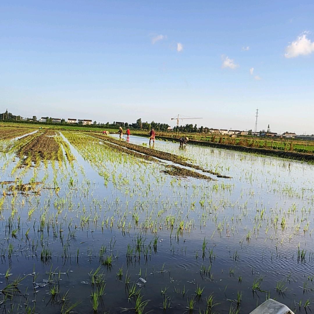 农民的快乐生活