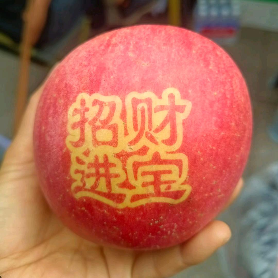 草莓贩子LYZ9527头像