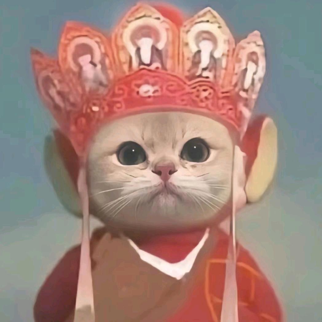 半岛