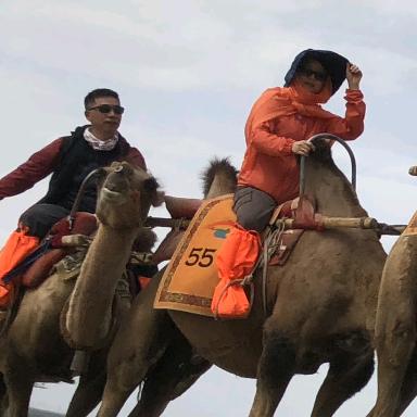 小杨(手机视频)