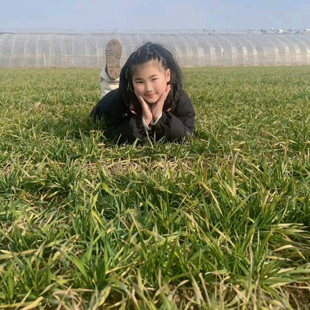 舌尖秀上