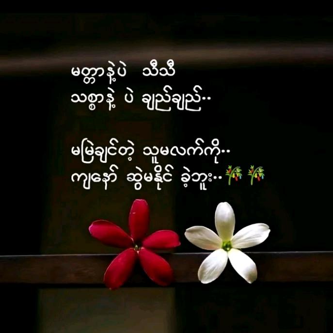 🇲🇲Myanmar🇲🇲