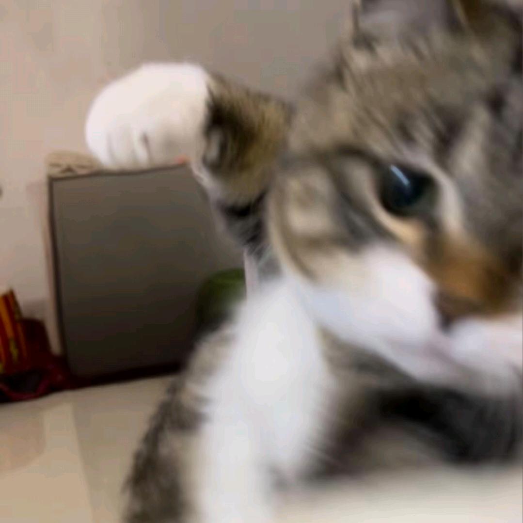 酱丶
