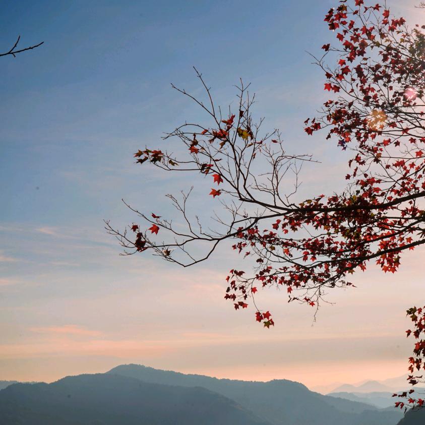冬日暖陽头像