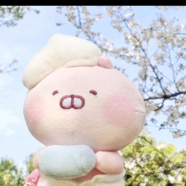我只是一颗小豆子