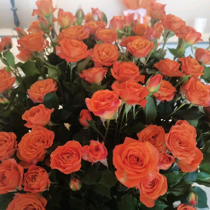 母婴护理师，邹姐